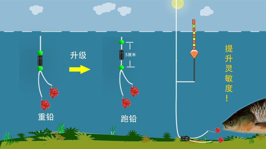 釣鯉魚什么調漂_釣鯉魚如何調漂最好用_釣鯉魚好用調漂嗎