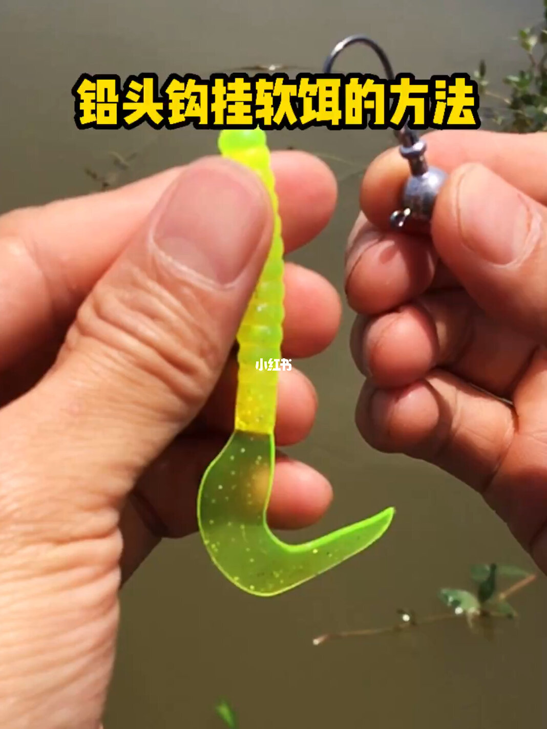 程寧釣魚教學視頻全集釣鯉魚_程寧釣魚視頻調五釣五如何找底_程寧釣魚調漂技巧視頻