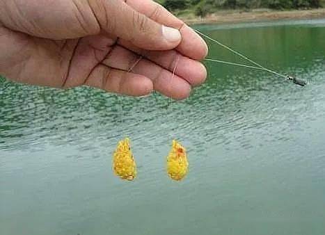 程寧釣魚調漂技巧視頻_程寧釣魚教學視頻全集釣鯉魚_程寧釣魚視頻調五釣五如何找底