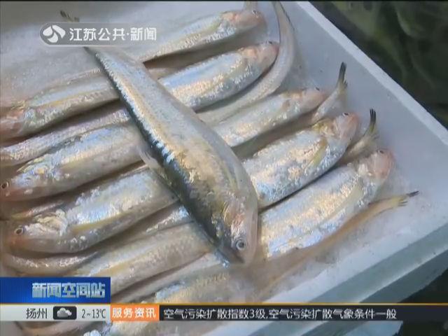 長江魚刀魚是哪里產的_長江刀魚是什么魚_長江刀魚是海魚還是淡水魚