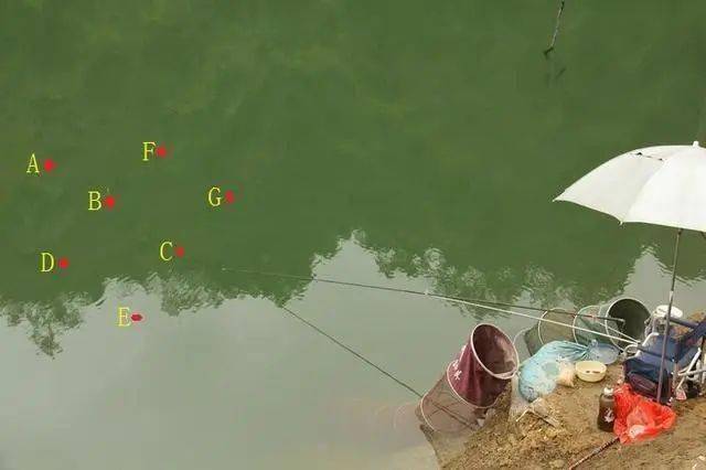 程寧釣魚教程_程寧釣浮調漂視頻教程_程寧釣魚視頻調五釣五如何找底