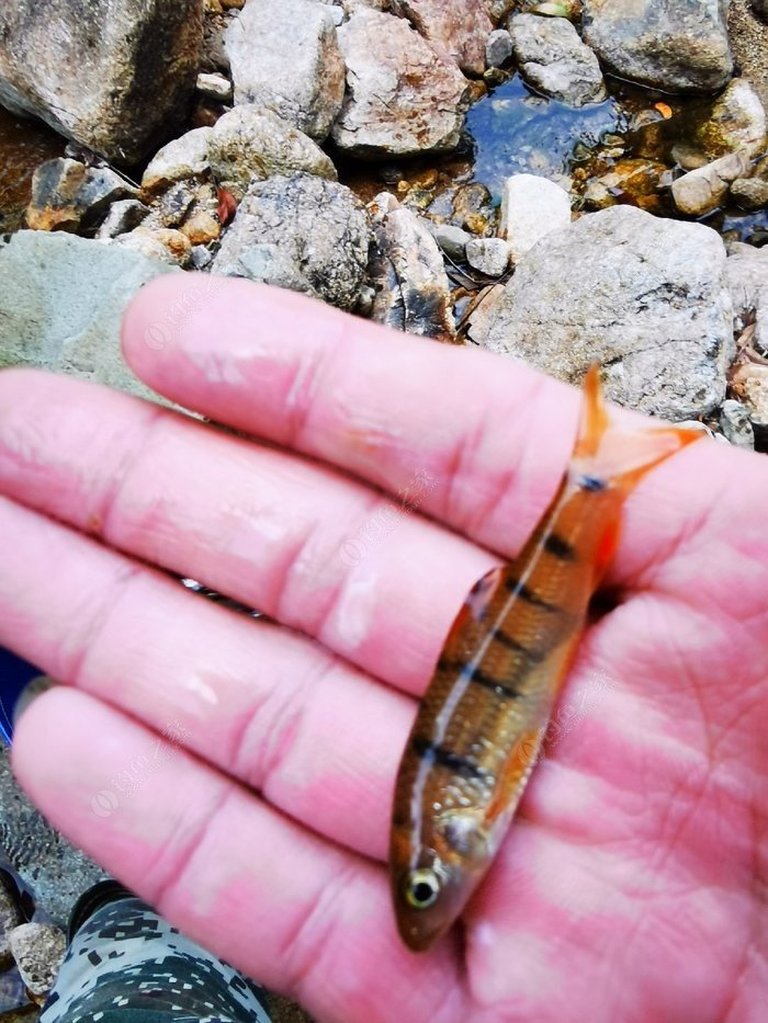 漳州水庫釣魚_漳州釣魚網_漳州市區釣魚地點