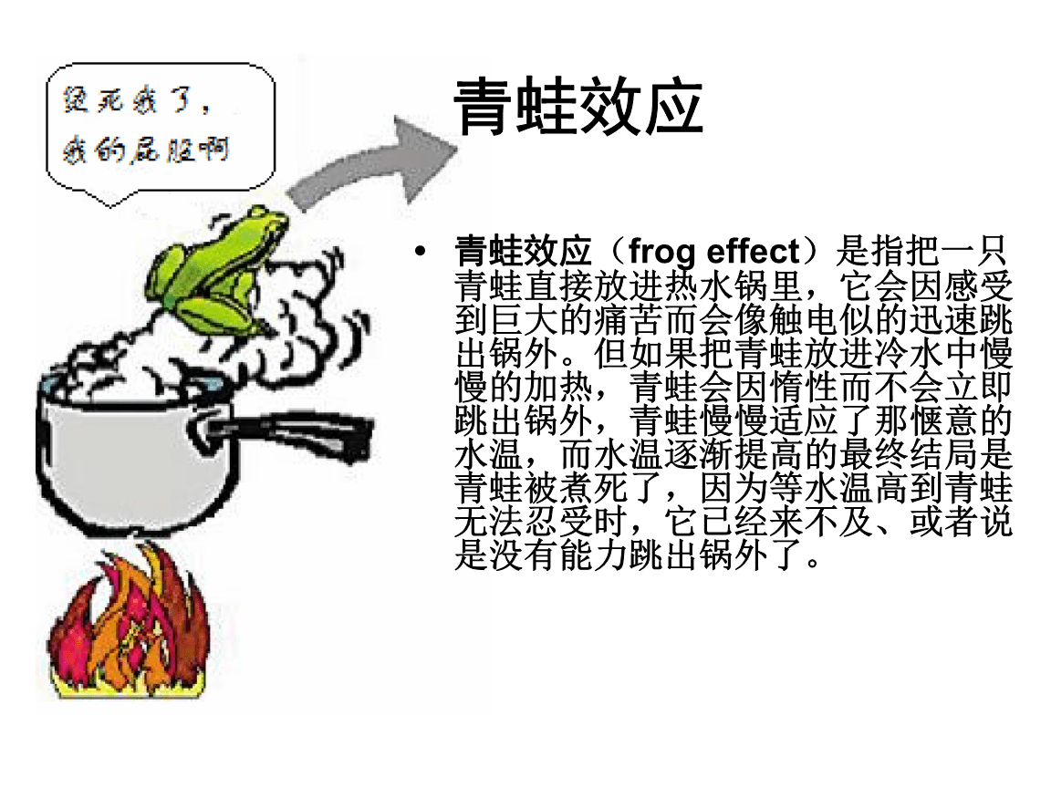 （李向東）亞馬遜雨林一只蝴蝶翅膀，值得一看！