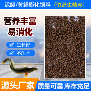 泥鰍養殖需要什么條件_無土泥鰍養殖技術_養殖泥鰍養殖泥鰍