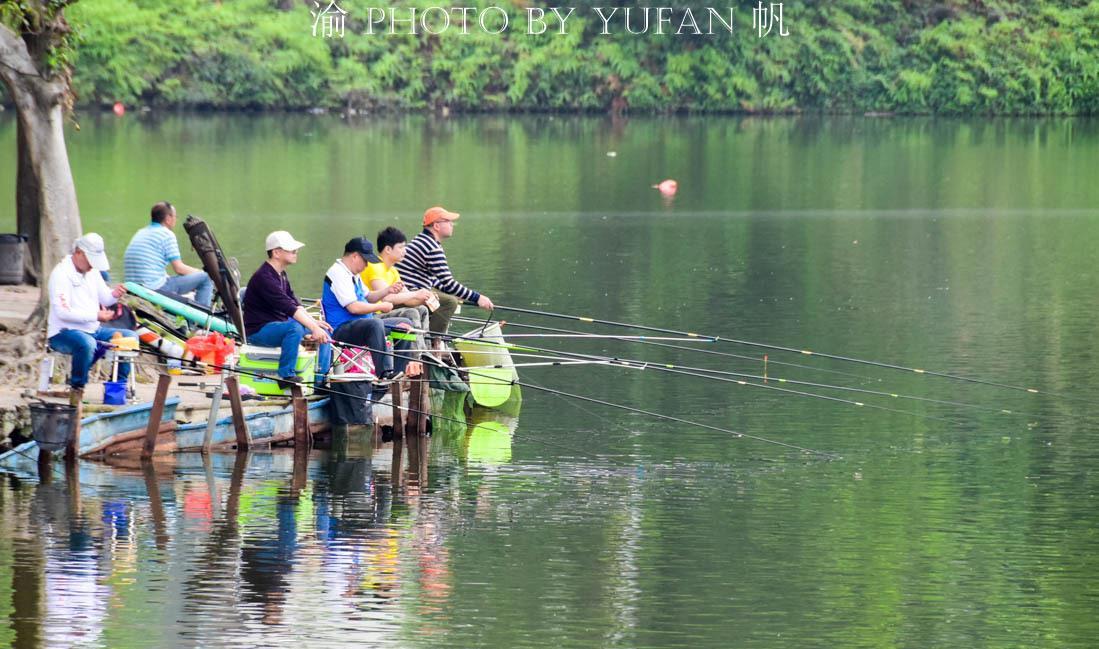 漳州市區釣魚地點_漳州水庫釣魚_漳州釣魚網