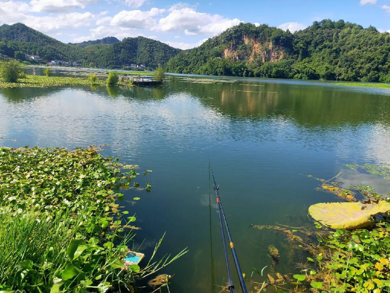 漳州水庫釣魚_漳州釣魚網_漳州市區釣魚地點