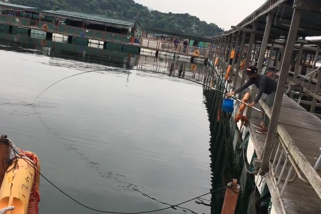 釣魚視頻高清比賽2019年_釣魚視頻高清比賽2019_釣魚比賽視頻高清2019