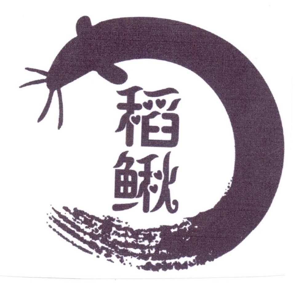 稻田里養殖泥鰍_稻田泥鰍養殖技術_養殖稻田泥鰍技術視頻