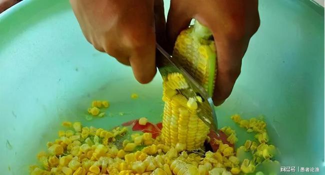 釣玉米餌料草魚好用嗎_釣草魚餌料和玉米哪個好_釣玉米餌料草魚好釣嗎視頻