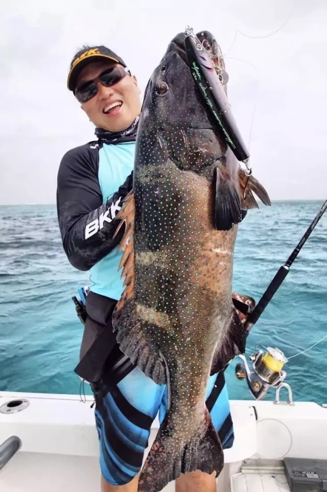 海釣鱸魚在哪個水層_海釣鱸魚沉底還是半水_鱸魚海釣