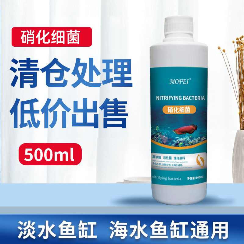 關于闖缸魚，你應該知道的幾個問題！