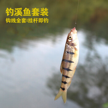 （釣魚學堂）臺釣竿收縮后的長度和長度