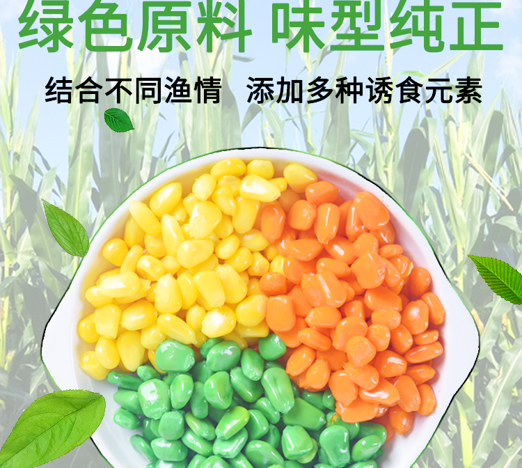 釣草魚餌料和玉米哪個好_玉米釣草魚要逗嗎_玉米釣草魚釣浮還是釣底
