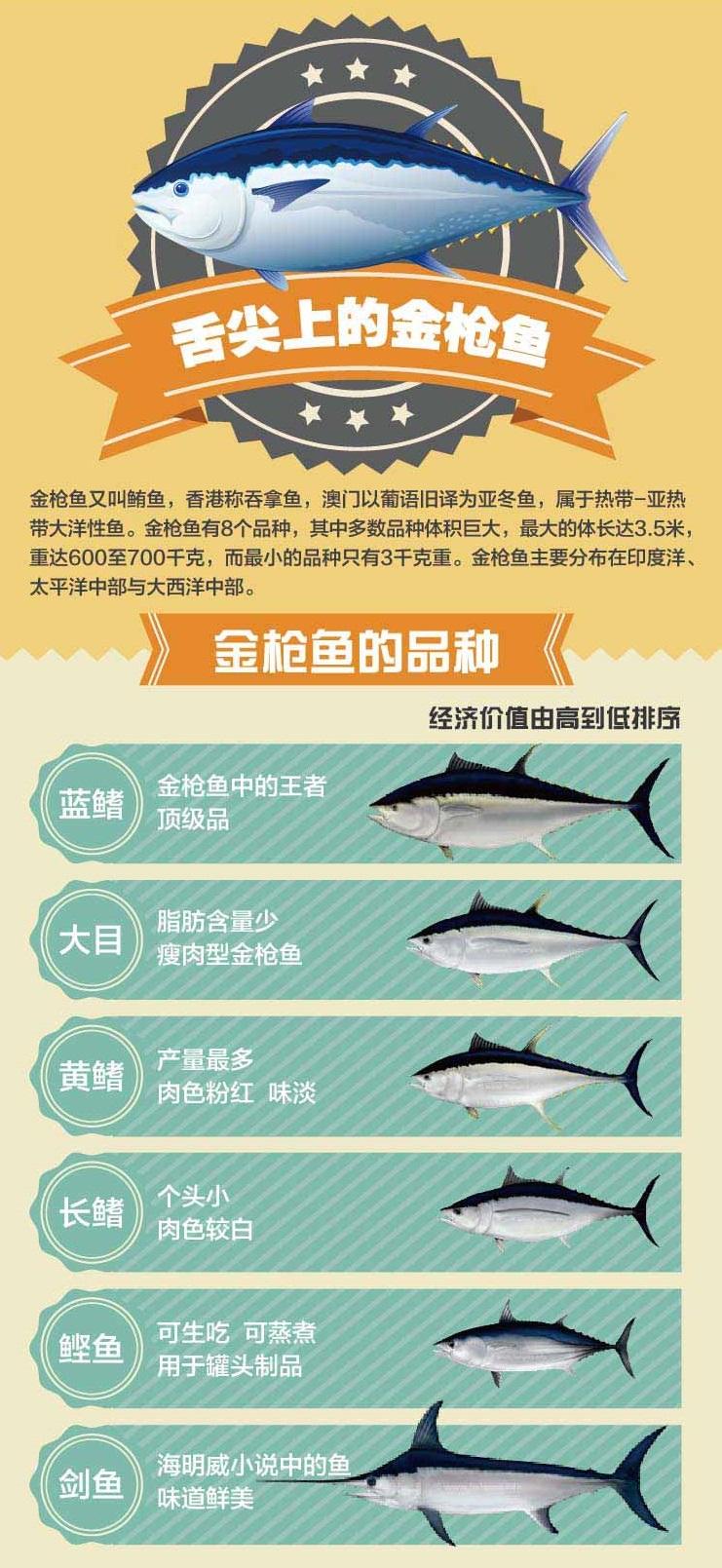 藍鰭金槍魚auv_藍鰭金槍魚2000萬人民幣_藍鰭金槍魚多錢一斤