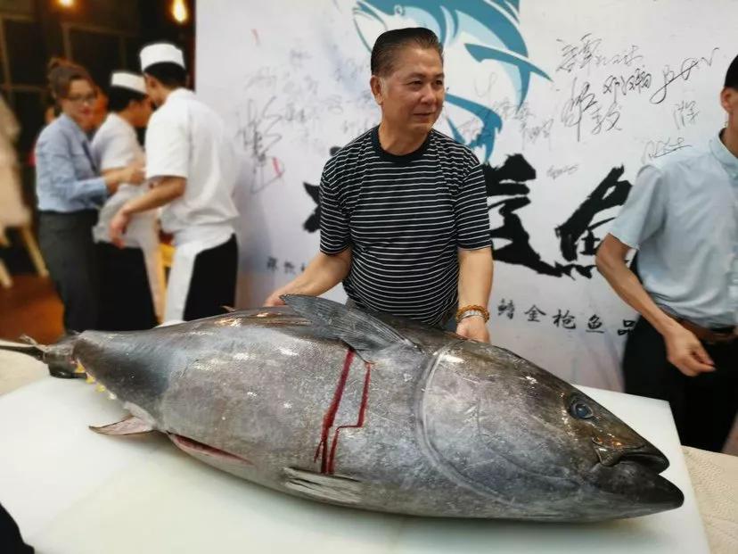 黃鰭金槍魚多少錢一斤_黃鰭金槍魚肉質_黃鰭金槍魚魚肉的顏色