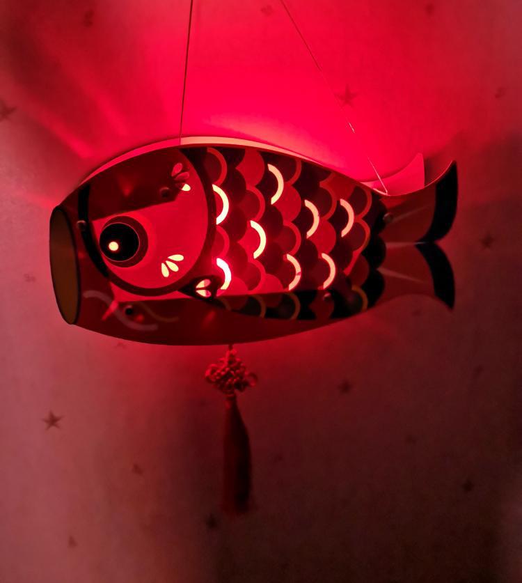 觀賞魚紅綠燈養殖_養紅綠燈魚用什么顏色燈_紅綠燈魚怎么養