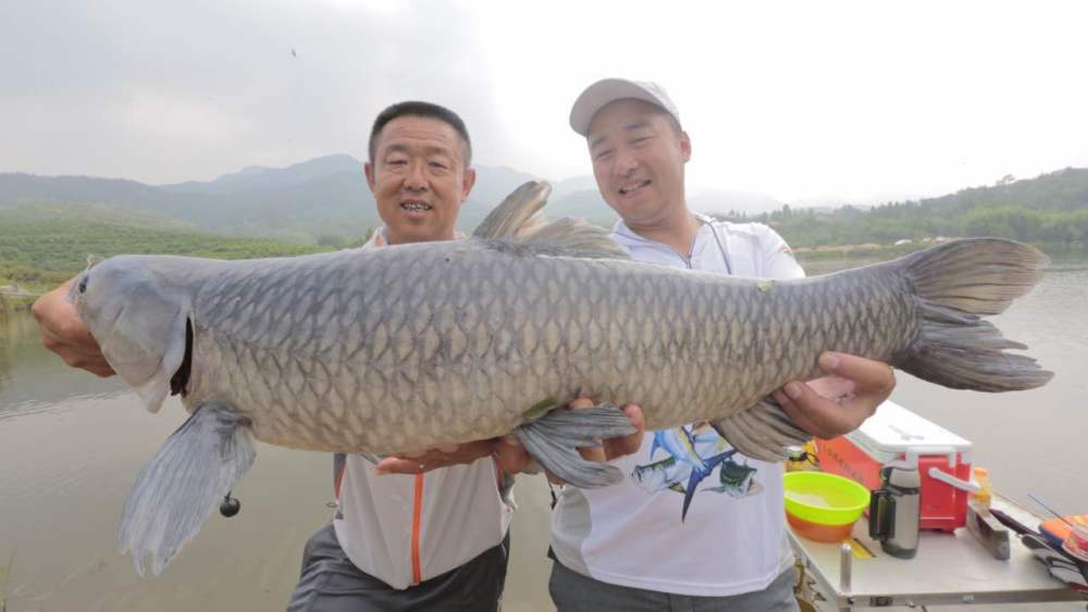（釣魚學堂）原神魚餌合成材料一覽表最新魚餌