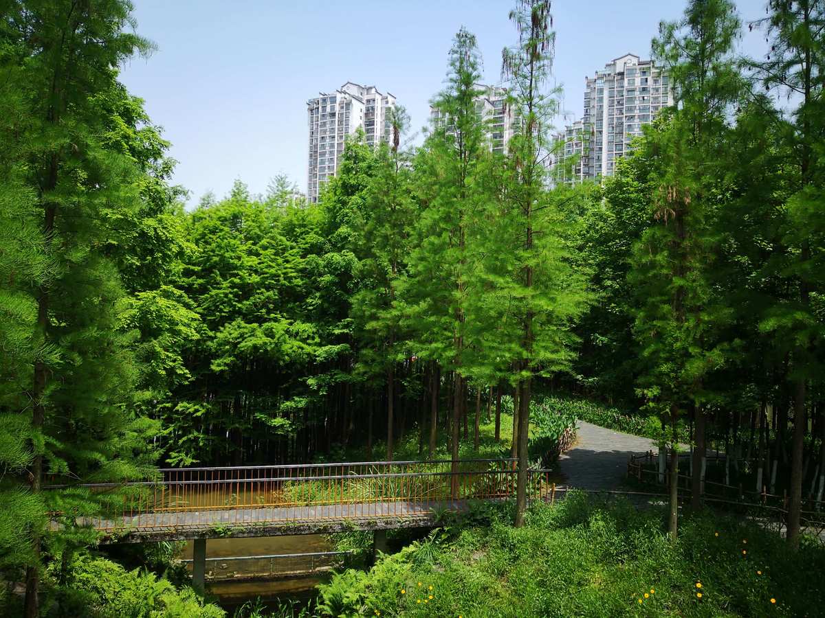 沈陽國家森林公園旅游風景區推薦巴爾虎山