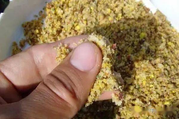 釣魚視頻釣_釣魚視頻大全餌料搭配圖片_釣魚視頻大全餌料搭配