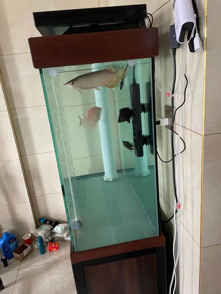 魚缸過濾器組裝方法_魚缸過濾器安裝說明_魚缸過濾器安裝圖