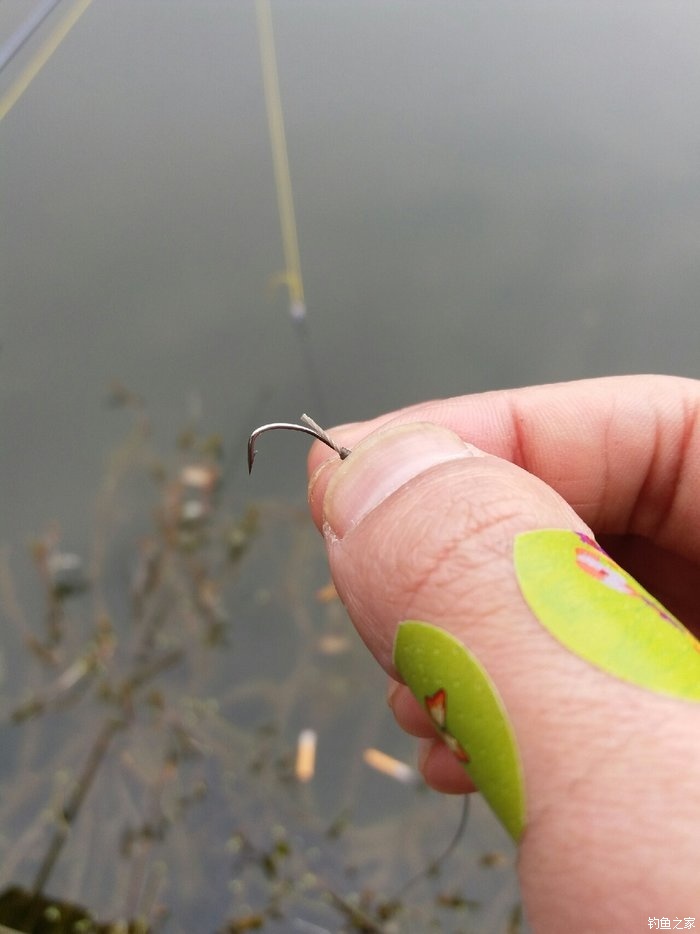 釣魚渾水和清水該怎么釣_釣魚渾水怎么釣_渾水釣魚