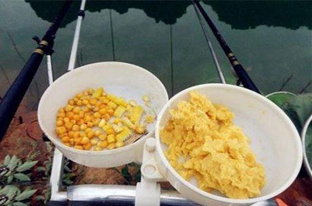 釣草魚技巧和方法_草魚的釣法和釣魚技巧_釣魚草魚技巧釣法大全