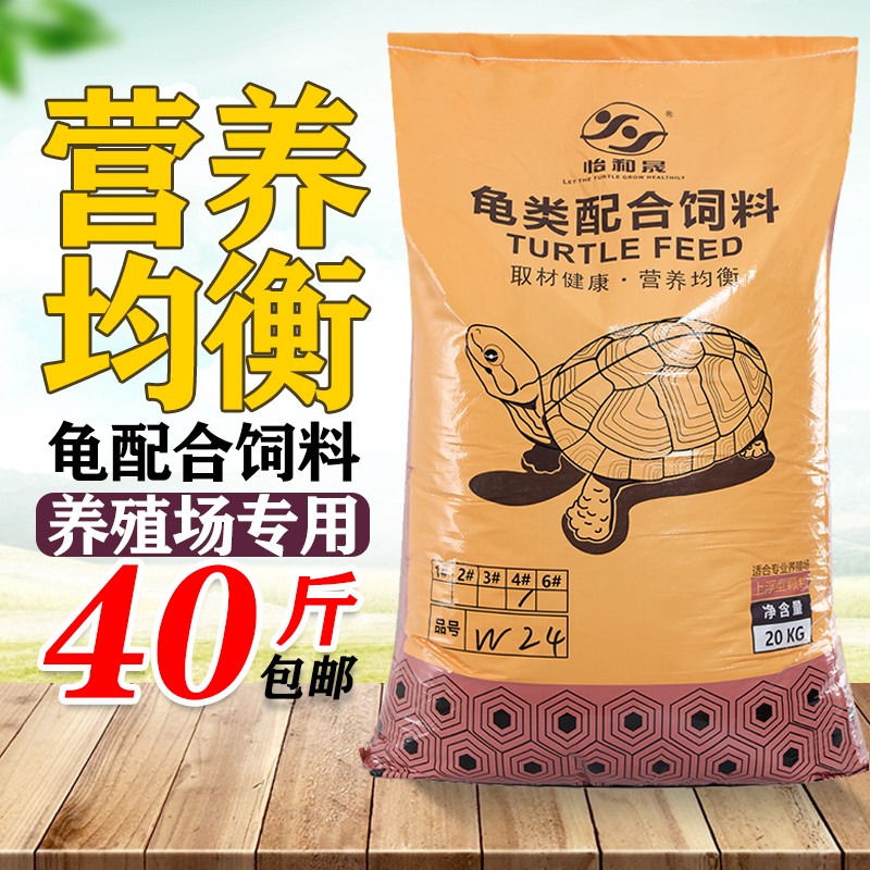 烏龜食物吃雞蛋_烏龜吃什么食物_烏龜食物吃到嘴里又吐出來