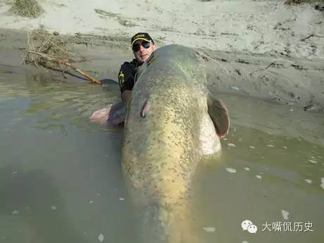 英國有中國建設銀行嗎_湄公河巨型鯰魚是什么魚_公寓產權能貸款嗎