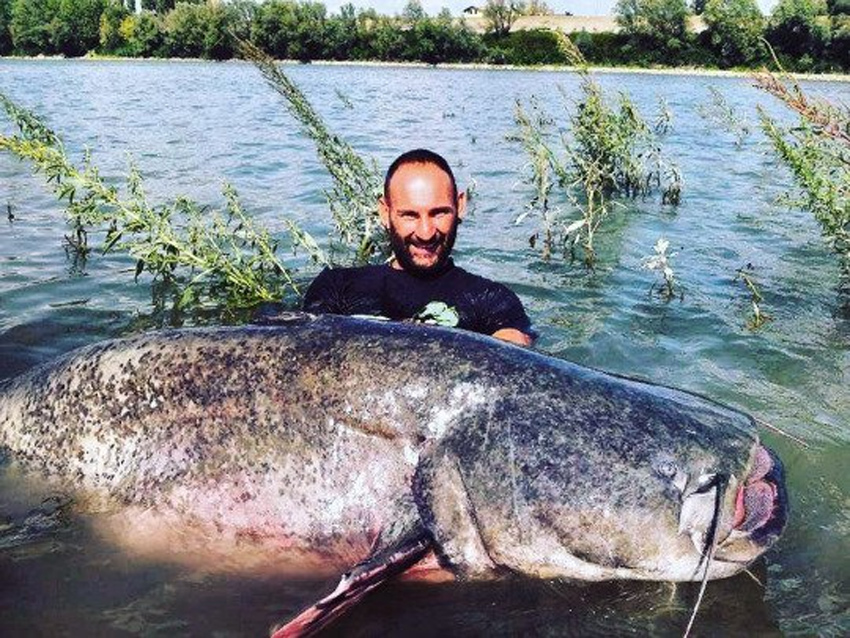 湄公河巨型鯰魚是什么魚_公寓產權能貸款嗎_英國有中國建設銀行嗎