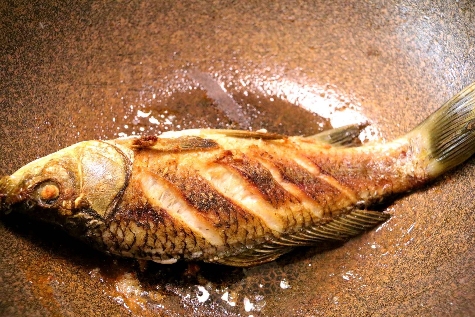 鯧魚圖片簡筆畫_鯧魚圖片_鯧魚圖片大全