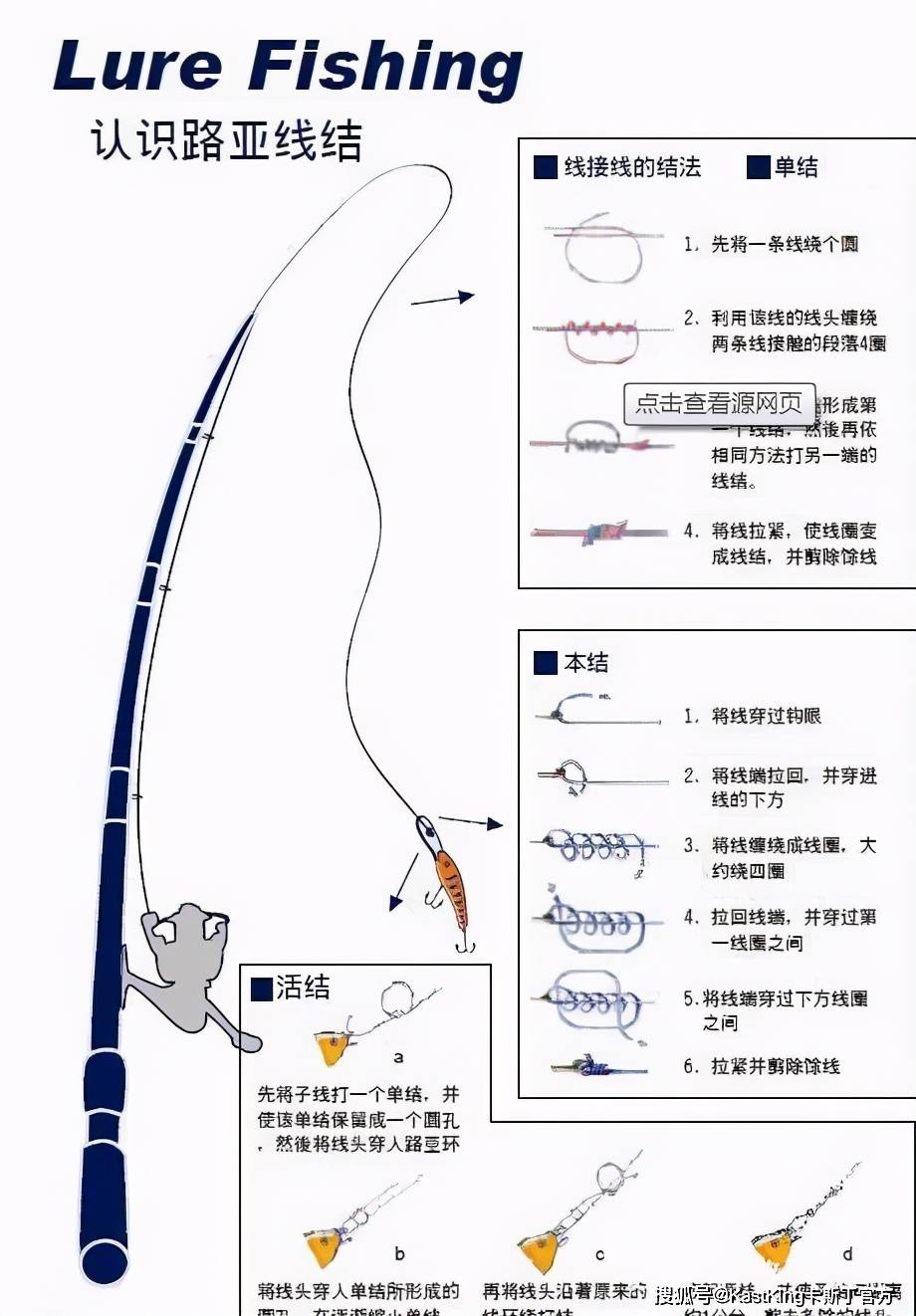 釣草魚子線長度圖解_釣草魚的線_釣圖解長度草魚線子多長合適