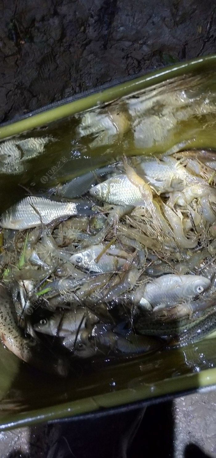 海釣鱸魚線組做法_海釣鱸魚的線組_海釣鱸魚線組圖