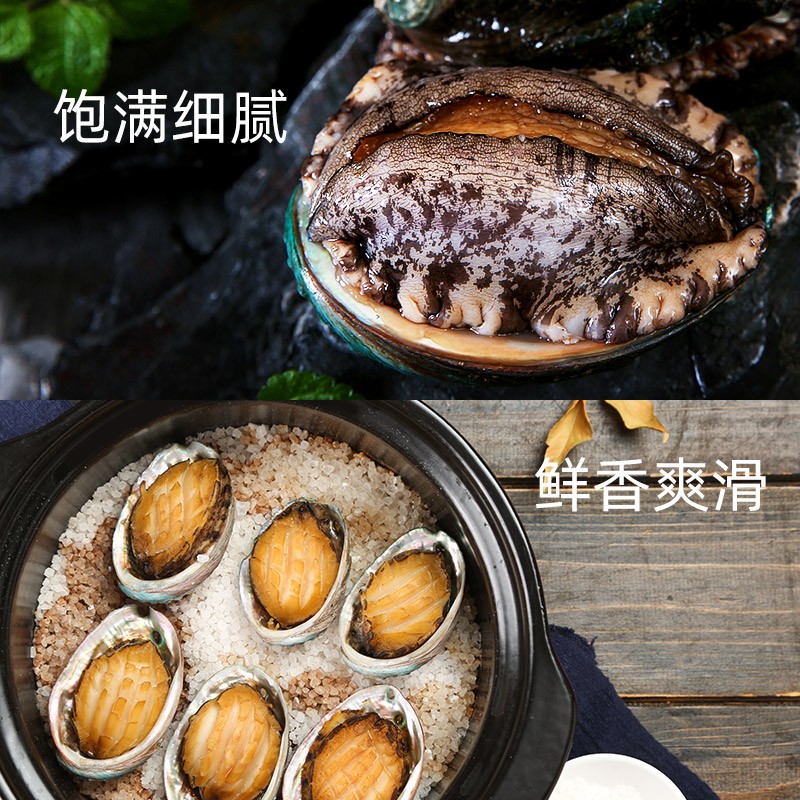 鮑魚的營養價值和功效有哪些？有什么作用？