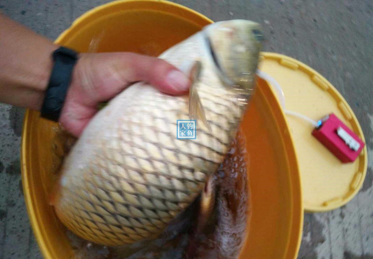 海釣路亞視頻大全集_路亞海邊釣魚視頻_海釣大魚視頻路亞