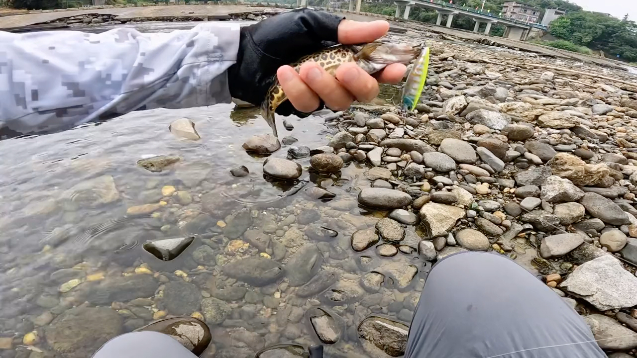 海釣鱸魚線組做法_海釣鱸魚線組圖_海釣鱸魚的線組