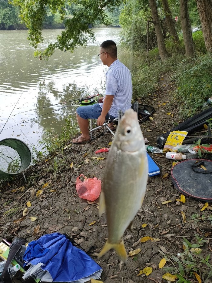 瀏陽哪里釣魚_瀏陽有那些地方好釣魚_瀏陽釣魚的水庫有哪些