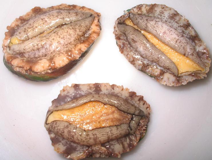 舌尖上的“海耳”——北京北海仿膳飯莊名菜“蛤蟆鮑魚”