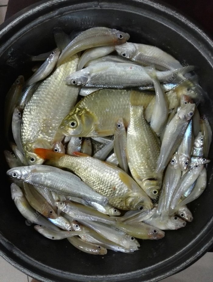 路亞釣大魚視頻高清_海釣大魚視頻路亞_大海路亞講堂