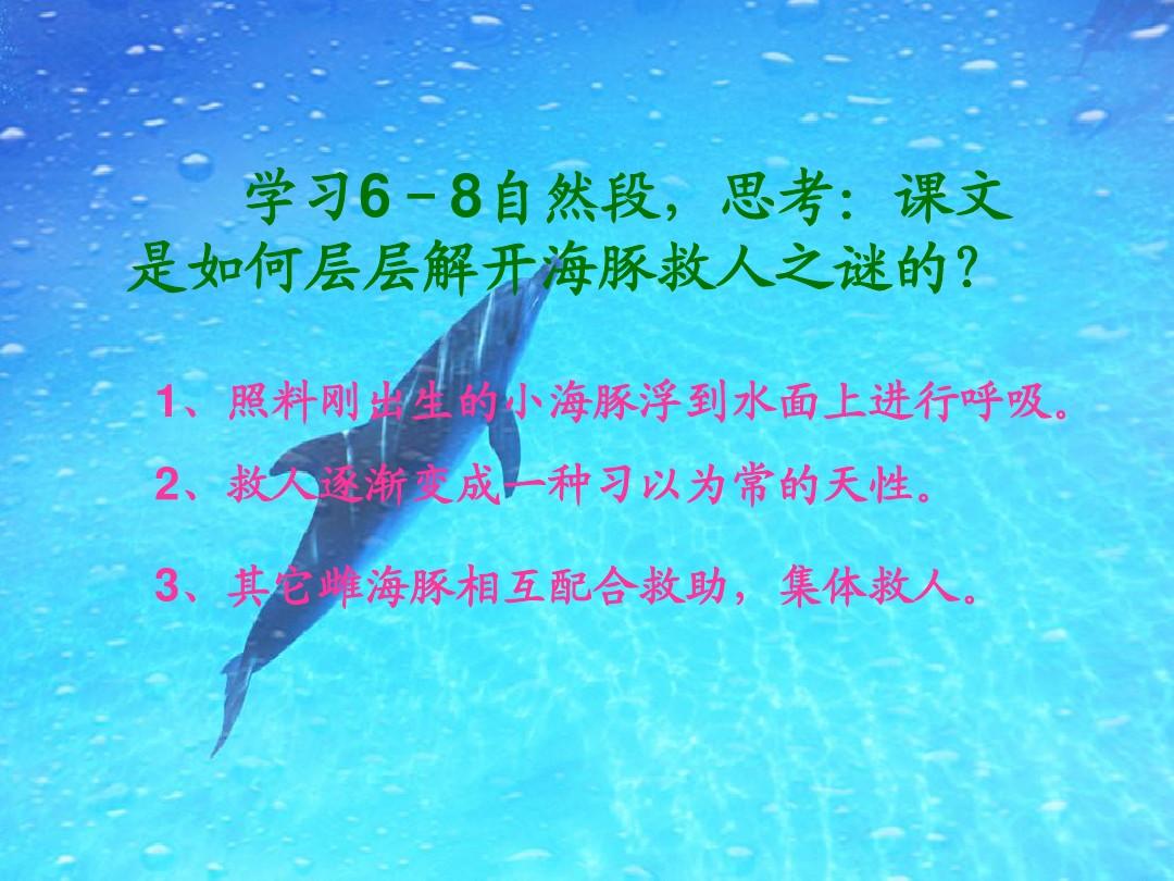 海豚救人的真正原因_海豚救人_海豚救人圖片