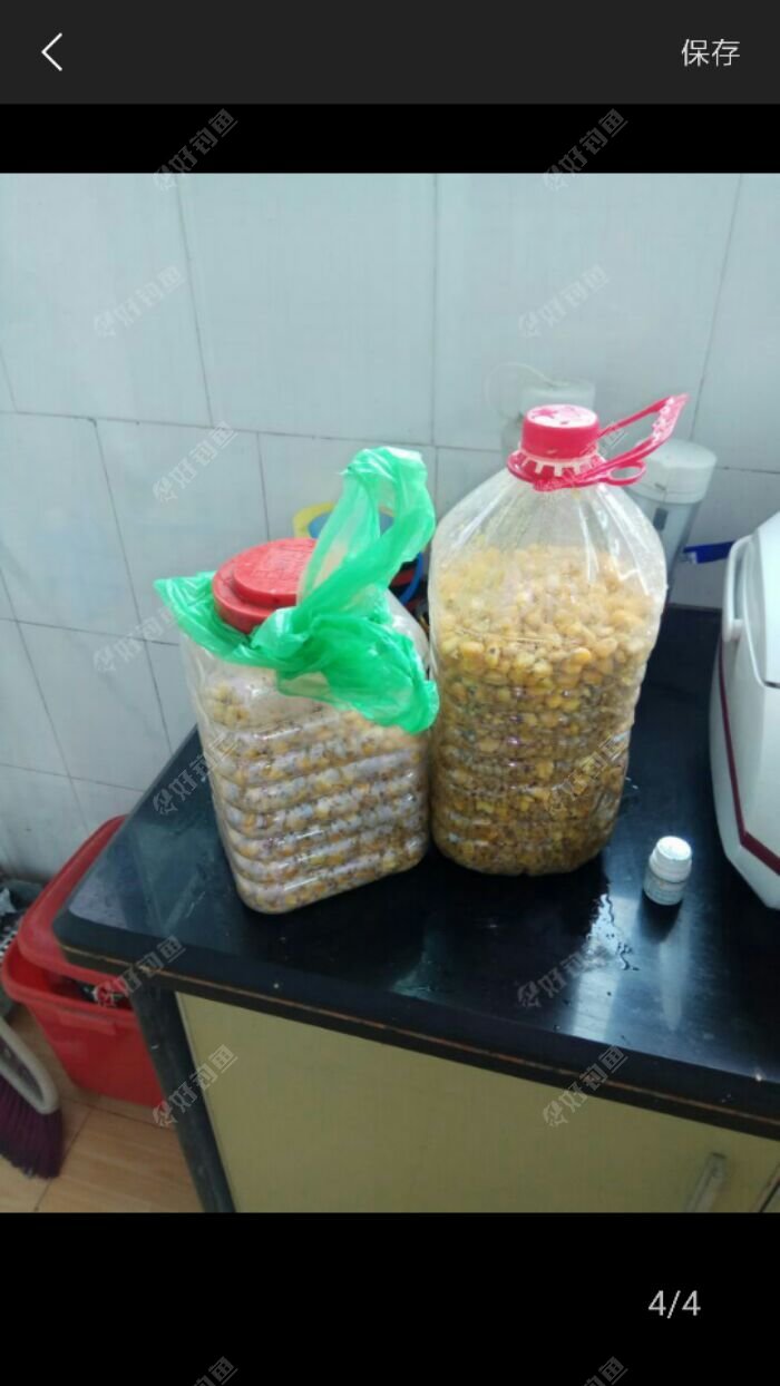 釣鯉魚窩料的絕密配方大全_野釣鯉魚窩料制作_釣魚鯉魚窩料的絕密配方