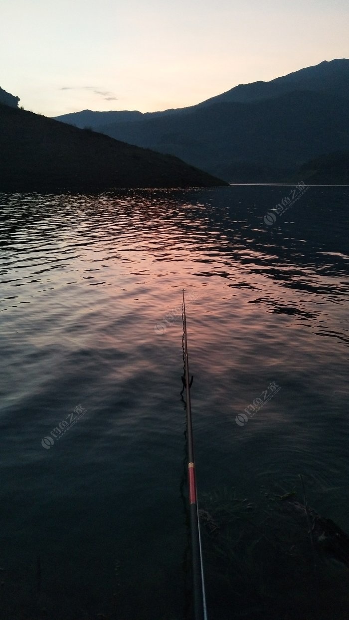 野釣鯽魚技巧夜釣技巧大全_夜釣鯽魚技巧_釣鯽魚夜釣最佳時間