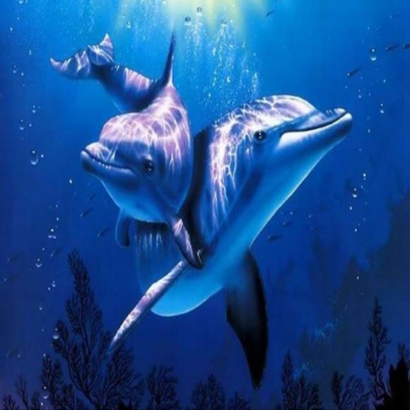 海豚救人 優秀教案范文分享：寫教案的時候需要注意什么？