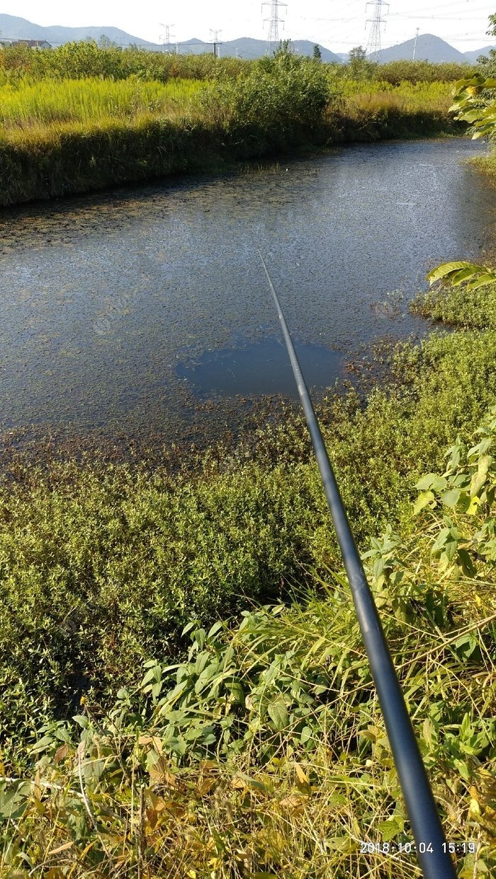夏季釣草魚技巧_夏季如何釣草魚_釣夏季草魚技巧圖解