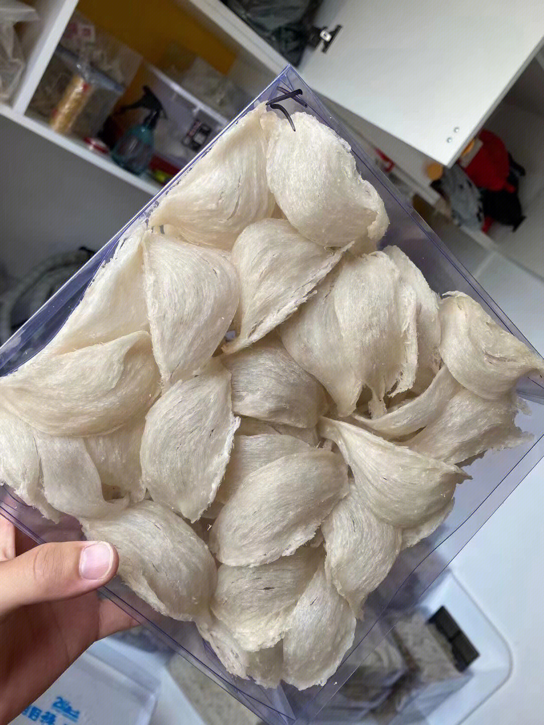 燕窩口感怎么樣_燕窩的口感_燕窩囗感