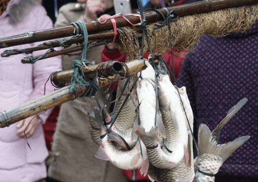 弓魚是什么魚_魚弓是什么_魚弓是武器嗎