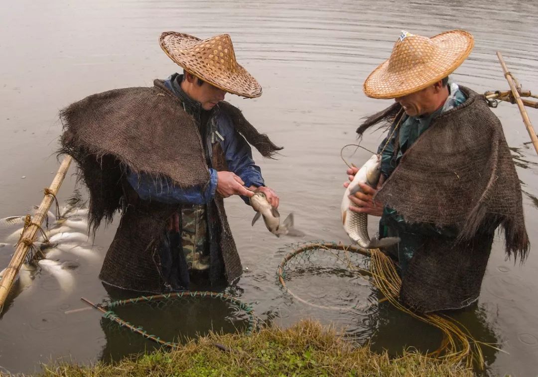 魚弓是武器嗎_魚弓是什么字_弓魚是什么魚
