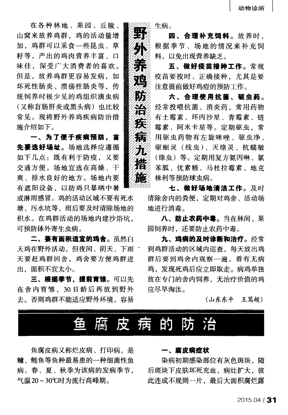 清潔工魚起什么作用_清潔工魚是什么魚_清潔工魚能起到清潔作用么