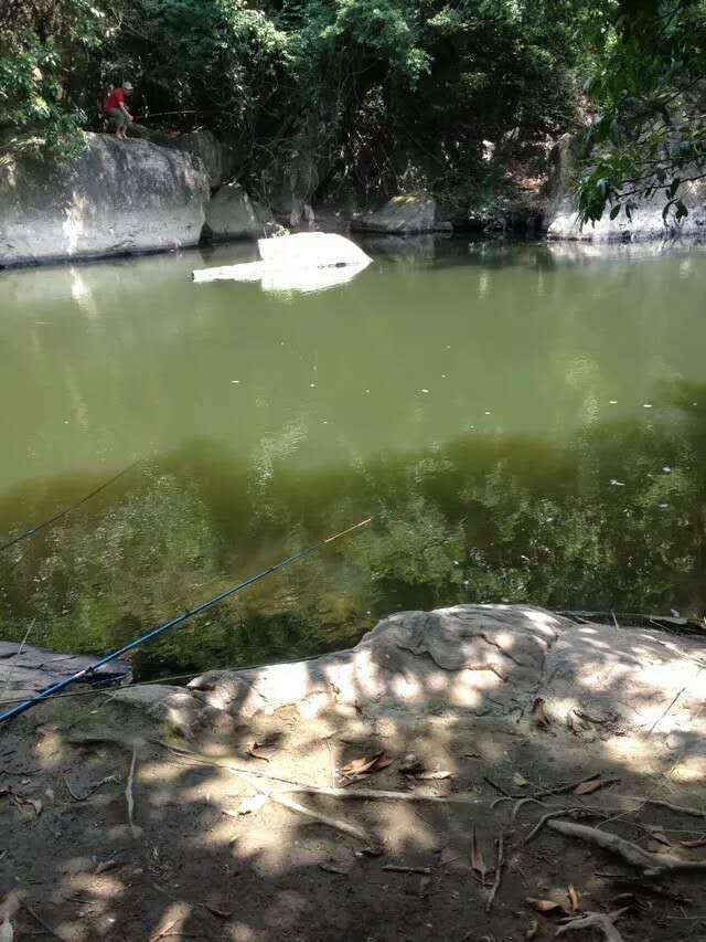 深圳釣魚_深圳釣魚吧百度貼吧_釣魚深圳野釣的地方