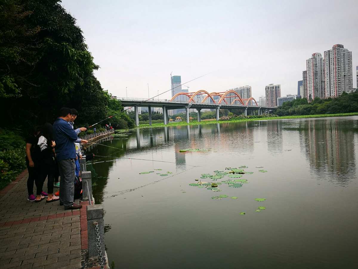 釣魚深圳野釣的地方_深圳釣魚_深圳釣魚吧百度貼吧