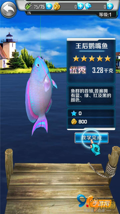 豬肝做魚餌適合釣什么魚_豬肝魚餌制作方法_豬肝做魚餌怎么做